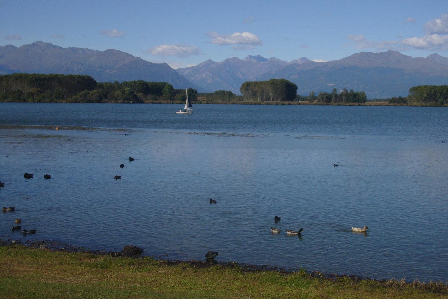 Residenza Del Lago Candia Canavese Eksteriør bilde